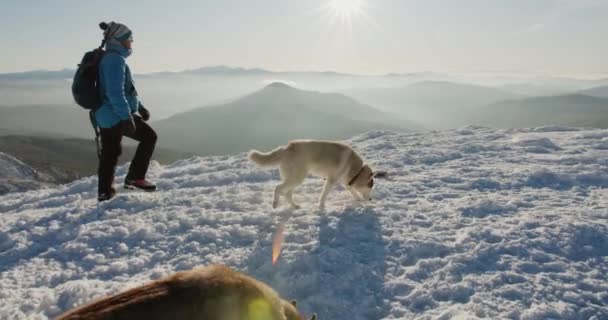 Mavi Ceketli Bir Adam Iki Sibirya Köpeğiyle Karlı Dağlarda Yürüyüş — Stok video