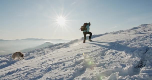 Γυναίκα Μπλε Σακάκι Πεζοπορία Εξωτερικούς Χώρους Χιονισμένα Βουνά Πεζοπόρος Κατά — Αρχείο Βίντεο