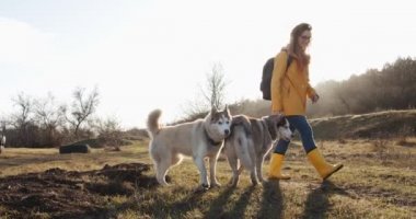 Sarı ceketli ve çizmeli kızıl saçlı kadın güzel kırsal bölgede iki Sibirya köpeğiyle yürüyor. Köpeklerle yürüyüş ve seyahat.
