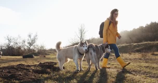 Рыжая Женщина Жёлтой Куртке Сапогах Гуляет Двумя Сибирскими Хаски Собаками — стоковое видео