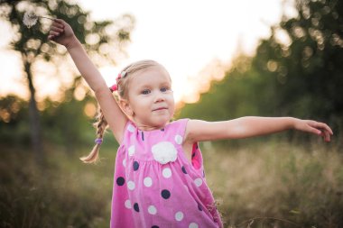 bir sahada yaz gün günbatımı, o üfleme karahindiba sırasında parkta oynayan küçük kız