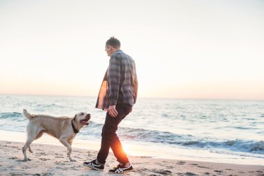 sunri sırasında labrador sahilde oynarken genç beyaz erkek