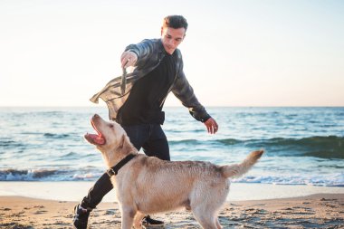 sunri sırasında labrador sahilde oynarken genç beyaz erkek