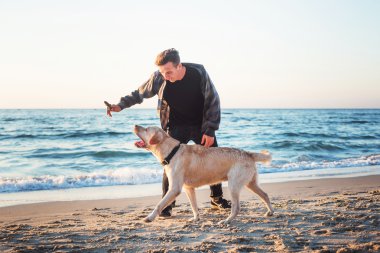 sunri sırasında labrador sahilde oynarken genç beyaz erkek
