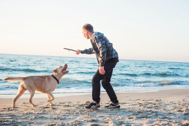 sunri sırasında labrador sahilde oynarken genç beyaz erkek