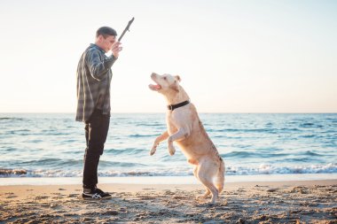 sunri sırasında labrador sahilde oynarken genç beyaz erkek