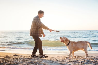 sunri sırasında labrador sahilde oynarken genç beyaz erkek