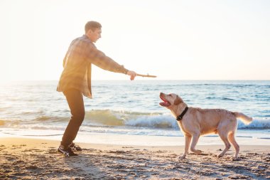 sunri sırasında labrador sahilde oynarken genç beyaz erkek
