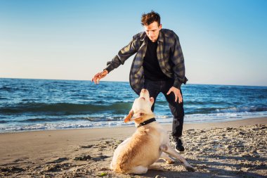 sunri sırasında labrador sahilde oynarken genç beyaz erkek