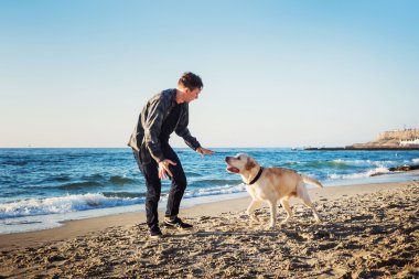 sunri sırasında labrador sahilde oynarken genç beyaz erkek