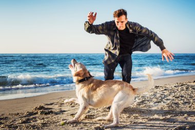 sunri sırasında labrador sahilde oynarken genç beyaz erkek