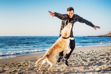 sunri sırasında labrador sahilde oynarken genç beyaz erkek