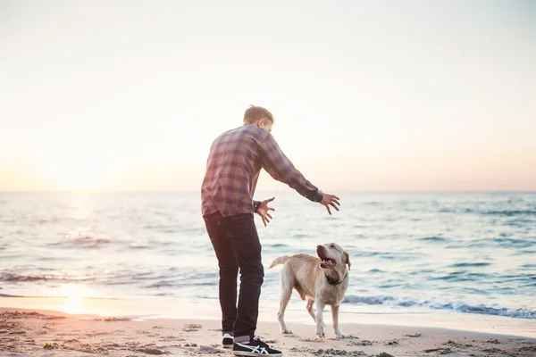 Młody mężczyzna kaukaski grając z labrador na plaży podczas sunri — Zdjęcie stockowe