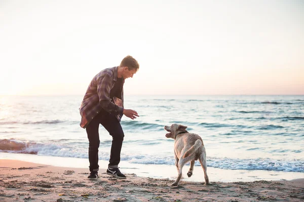 Jeune caucasien mâle jouer avec labrador sur la plage pendant sunri — Photo