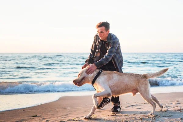 Jeune caucasien mâle jouer avec labrador sur la plage pendant sunri — Photo