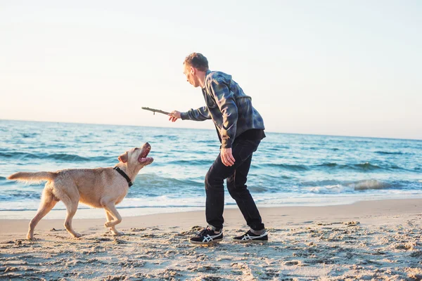 Unga kaukasiska manlig leker med labrador på stranden under sunri — Stockfoto