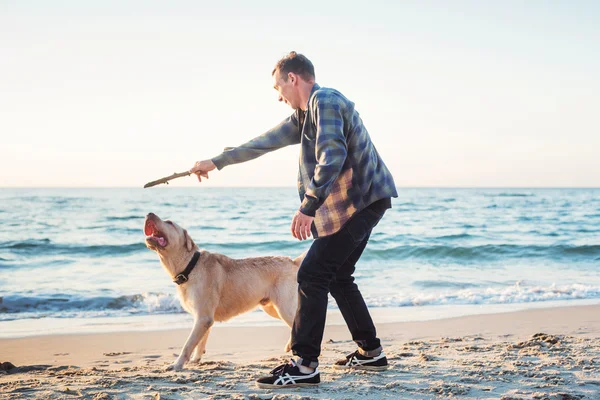 Giovane maschio caucasico che gioca con labrador sulla spiaggia durante sunri — Foto Stock