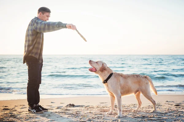 Młody mężczyzna kaukaski grając z labrador na plaży podczas sunri — Zdjęcie stockowe