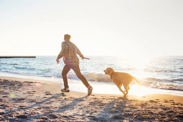 Jeune caucasien mâle jouer avec labrador sur la plage pendant sunri — Photo