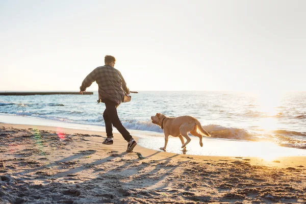 Unga kaukasiska manlig leker med labrador på stranden under sunri — Stockfoto