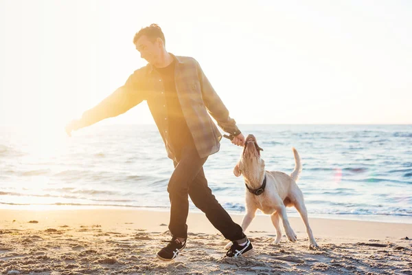 Młody mężczyzna kaukaski grając z labrador na plaży podczas sunri — Zdjęcie stockowe