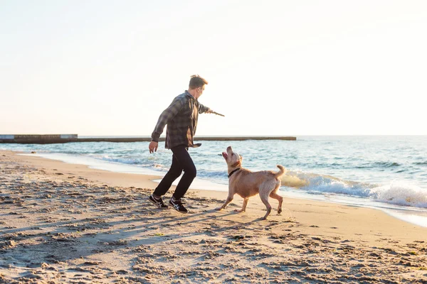 Νεαρά αρσενικά καυκάσιος που παίζει με labrador στην παραλία κατά την Ανατολή το — Φωτογραφία Αρχείου