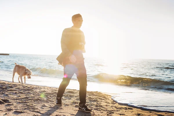 Молодий білий чоловік грає з лабрадором на пляжі під час сонячних променів — стокове фото