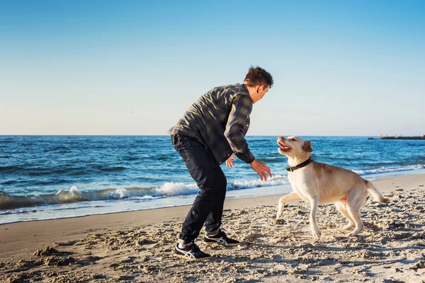 Młody mężczyzna kaukaski grając z labrador na plaży podczas sunri — Zdjęcie stockowe