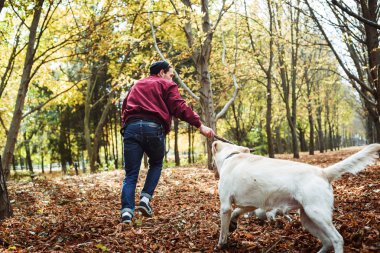 köpeklerle parkta oynayan adam. Beyaz adam sonbahar Park köpeklerle yürüyor