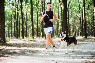 köpek ile iş dışarı. Sibirya hu ile çalışan genç beyaz erkek