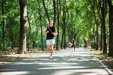 köpek ile iş dışarı. Sibirya hu ile çalışan genç beyaz erkek
