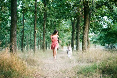 Sibirya husky köpek park ile genç güzel beyaz kadın eğitim