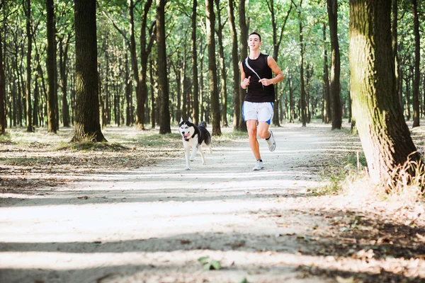 犬でうまきます。シベリアの胡主席と実行する若い白人男性 — ストック写真