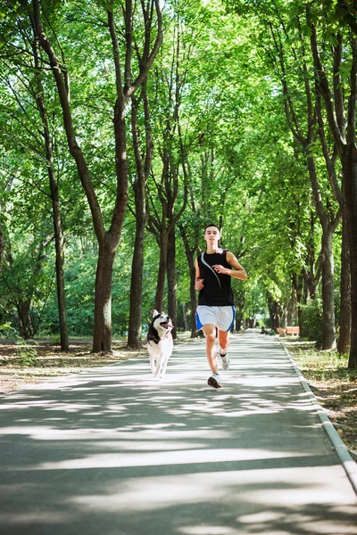 犬でうまきます。シベリアの胡主席と実行する若い白人男性 — ストック写真