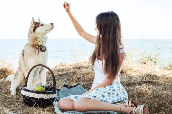 young caucasian female and red siberian husky dog on seaside with basket with fruits. eating fruits, healthy eating and healthy living concept
