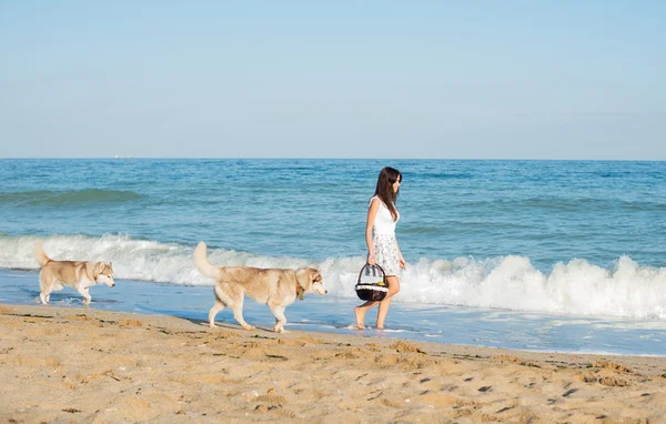 Mladý Kavkazský žena chůze s sibiřský husky psa na pláži — Stock fotografie