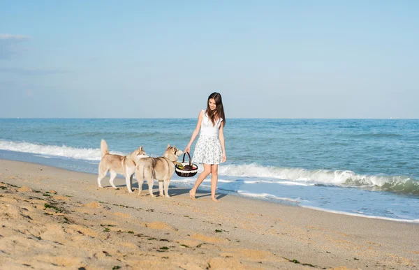 Junge kaukasische Hündin spielt und amüsiert sich mit sibirischem Husky-Hund am Strand — Stockfoto