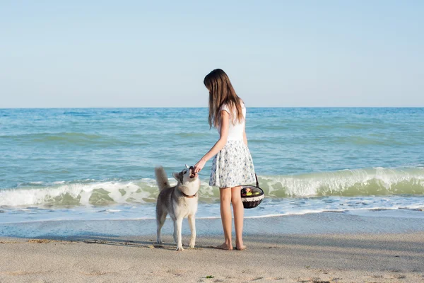 Junge kaukasische Hündin spielt und amüsiert sich mit sibirischem Husky-Hund am Strand — Stockfoto