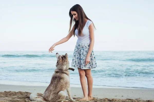 Junge kaukasische Hündin spielt und amüsiert sich mit sibirischem Husky-Hund am Strand — Stockfoto