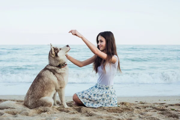 Jonge Kaukasische vrouwelijke spelen en hebbend pret met Siberische husky hond op strand — Stockfoto
