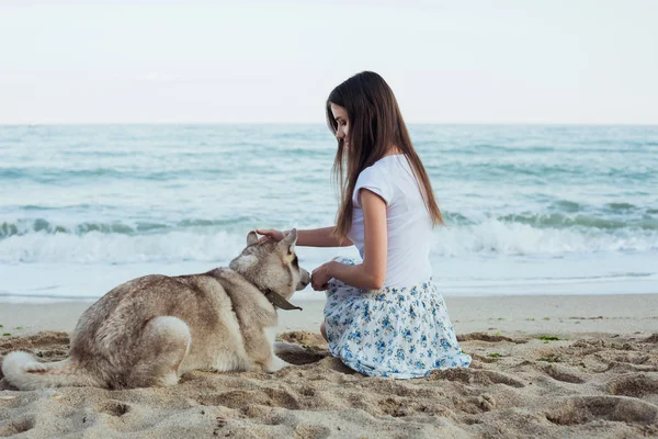 Junge kaukasische Hündin spielt und amüsiert sich mit sibirischem Husky-Hund am Strand — Stockfoto