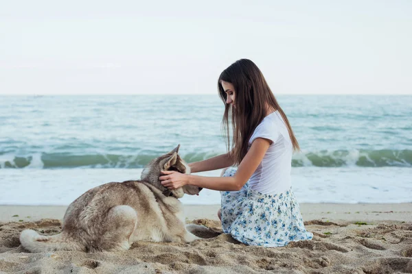 Młody kaukaski kobiece gry i zabawy z psem husky syberyjski na plaży — Zdjęcie stockowe