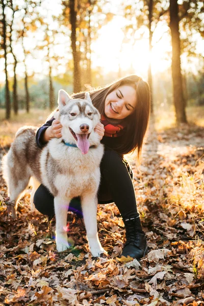 Junges glückliches Weibchen hat Spaß mit sibirischem Husky-Hund im Herbstpark bei Sonnenuntergang — Stockfoto