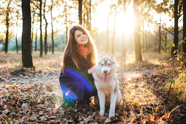 Junges glückliches Weibchen hat Spaß mit sibirischem Husky-Hund im Herbstpark bei Sonnenuntergang — Stockfoto