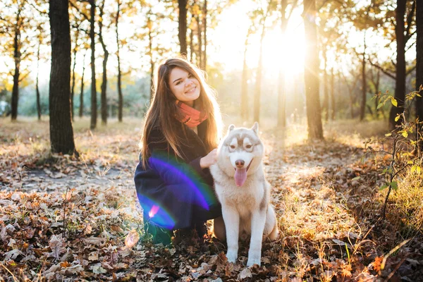 Őszi park naplemente alatt szibériai husky kutya szórakozik fiatal boldog nő — Stock Fotó