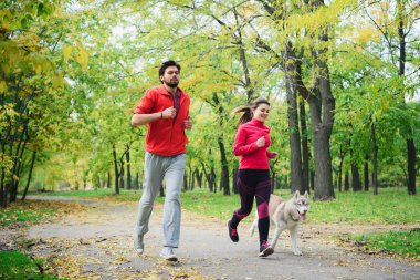 husky köpek sonbahar park, çalışan ile genç çift çift birlikte koşu
