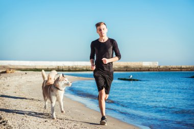 Çalışan adam. Siberian dış yapraklar köpeklerle gündoğumu sırasında sahilde koşu erkek atlet
