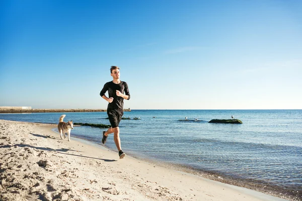 男を実行しています。ビーチで日の出時にシベリアン ハスキー犬とジョギングの男性ランナー — ストック写真