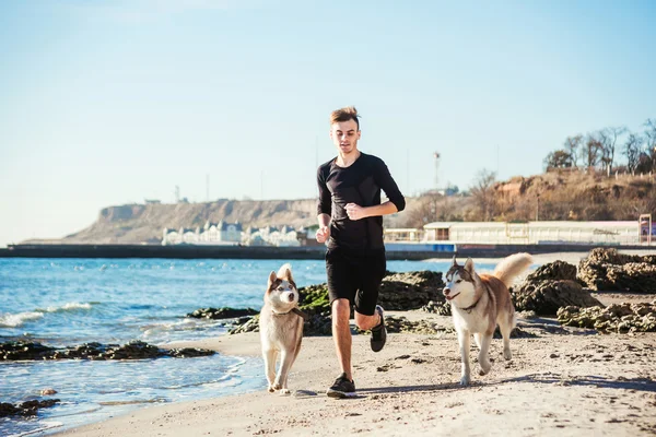 Kolejny człowiek. Mężczyzna runner jogging z psami husky syberyjski podczas słońca na plaży — Zdjęcie stockowe