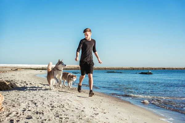 Běžící muž. Mužské běžce běhat s sibiřský husky psy během východu slunce na pláži — Stock fotografie